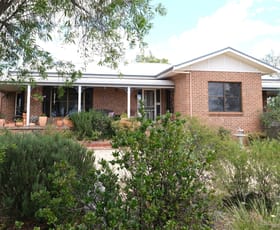 Rural / Farming commercial property for sale at 372 Swanbrook Road Inverell NSW 2360