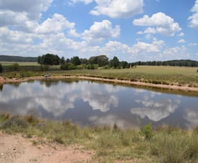 Rural / Farming commercial property for sale at 'Illapa' 238L Narromine Road Dubbo NSW 2830
