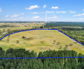 Rural / Farming commercial property for sale at Lot 459 Riddoch Hwy Dismal Swamp SA 5291