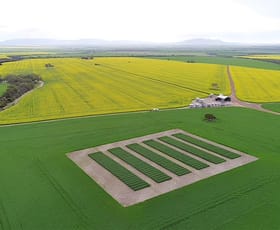 Rural / Farming commercial property sold at 402 Strawberry Hill Road Wanilla SA 5607
