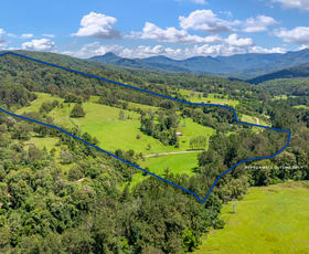 Rural / Farming commercial property sold at 3545 Allyn River Road East Gresford NSW 2311
