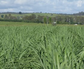 Rural / Farming commercial property for sale at Skyring Reserve QLD 4671
