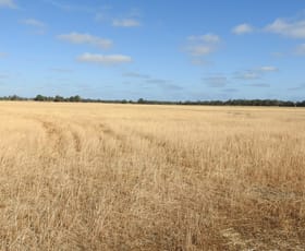 Rural / Farming commercial property for sale at Lot 2339 Cnr Edwards & Doyle Road (Ambergate) Busselton WA 6280