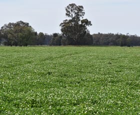 Rural / Farming commercial property for sale at 2071 Yarrabandai Road Bedgerabong NSW 2871