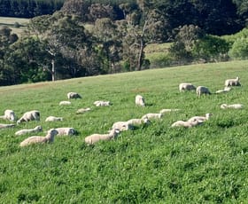 Rural / Farming commercial property for sale at 3 Yetholme Drive Walang NSW 2795