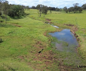 Rural / Farming commercial property for sale at 984 Ellesmere Road Kumbia QLD 4610