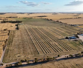 Rural / Farming commercial property for sale at 158 Lees Road Western Creek TAS 7304