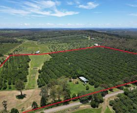 Rural / Farming commercial property for sale at 34 King Road Mount Binga QLD 4314