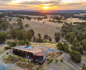 Rural / Farming commercial property for sale at 517 Pryors Road Scotsburn VIC 3352