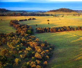 Rural / Farming commercial property for sale at 833 Fosters Road Guluguba QLD 4418