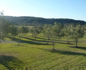 Rural / Farming commercial property for sale at 35 Summerholm Rd Summerholm QLD 4341