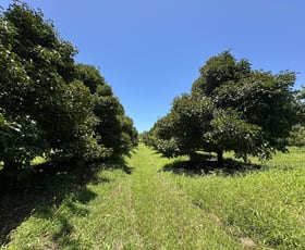 Rural / Farming commercial property for sale at Granadilla QLD 4855