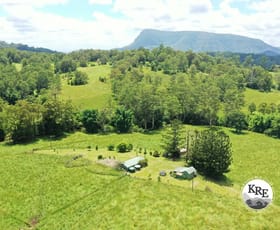 Rural / Farming commercial property for sale at 66 Old Tweed Road Wadeville NSW 2474