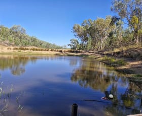 Rural / Farming commercial property for sale at Lot 85 Springfield Road Mole River NSW 2372