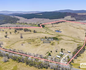 Rural / Farming commercial property for sale at 1002 Raglan-Elmhurst Road Raglan VIC 3373