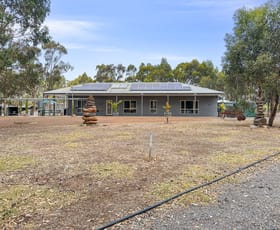Rural / Farming commercial property for sale at 329 Stuart Mill Road Dunolly VIC 3472