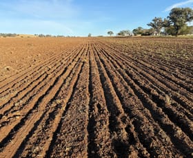 Rural / Farming commercial property for sale at 213 Nevilles Road Yeoval NSW 2868