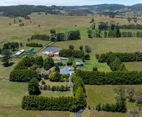 Rural / Farming commercial property for sale at 8595 Waterfall Way Ebor NSW 2453
