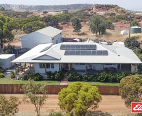 Rural / Farming commercial property for sale at 879 Nanson-Howatharra Road Yetna WA 6532
