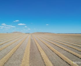 Rural / Farming commercial property sold at 1545 Cotswold Road Glengower VIC 3370
