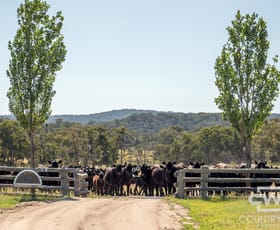Rural / Farming commercial property for sale at 391 Carrot Farm Road Deepwater NSW 2371