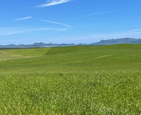 Rural / Farming commercial property for sale at 314 Barrow Hill Road Habana QLD 4740