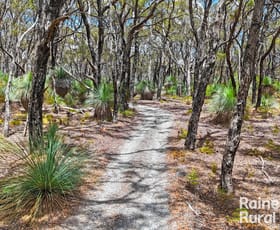 Rural / Farming commercial property for sale at 184 Bedlam Flat Road Delamere SA 5204