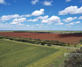 Rural / Farming commercial property for sale at 822 Inverai Kate Plain Road Jandowae QLD 4410