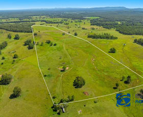 Rural / Farming commercial property for sale at 56 Ainsworth Road Mongogarie NSW 2470