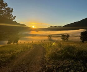 Rural / Farming commercial property for sale at 41/1118 Neringla Road Braidwood NSW 2622