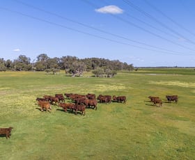 Rural / Farming commercial property for sale at Lot 3119 Brand Highway Gingin WA 6503