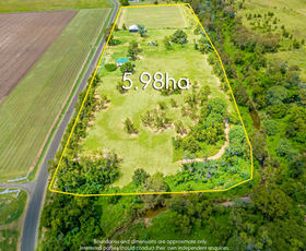 Rural / Farming commercial property for sale at 32 Mount Berryman Road Blenheim QLD 4341