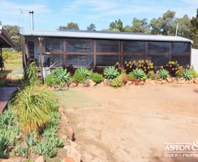 Rural / Farming commercial property for sale at 147B Simpson Drive Grenfell NSW 2810
