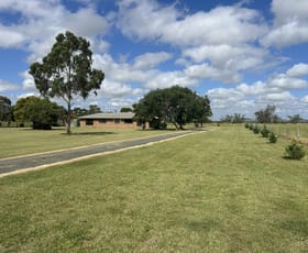Rural / Farming commercial property for sale at 186 Norgaards Road Silverleigh QLD 4401
