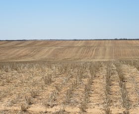 Rural / Farming commercial property sold at Hayden Lane Piangil VIC 3597