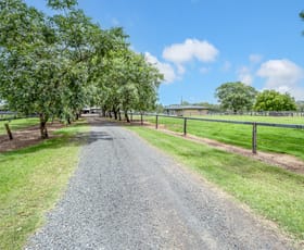 Rural / Farming commercial property for sale at 60 Barney Gordon VC Road Beaudesert QLD 4285