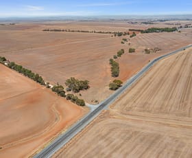 Rural / Farming commercial property for sale at Section 345 & 346 Brinkworth SA 5464