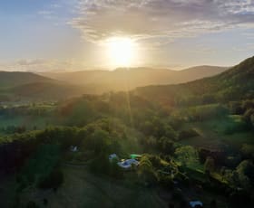 Rural / Farming commercial property for sale at 79b/79b Walters Road Upper Orara NSW 2450