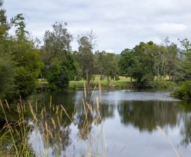 Rural / Farming commercial property for sale at 300 Martells Road Bellingen NSW 2454
