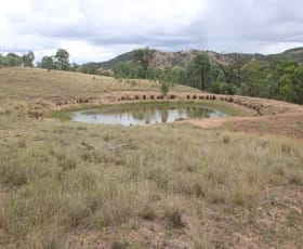 Rural / Farming commercial property for sale at 1872 Mole River Road Tenterfield NSW 2372