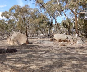 Rural / Farming commercial property for sale at Section 1 Kangaroo Flat Road Field SA 5265