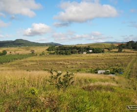 Rural / Farming commercial property for sale at 88 No1 Branch Road Camp Creek QLD 4871