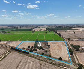 Rural / Farming commercial property for sale at 550 Congupna East Road Congupna VIC 3633