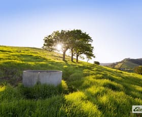 Rural / Farming commercial property for sale at 1266 Jamberoo Road Jamberoo NSW 2533