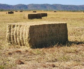 Rural / Farming commercial property for sale at NT Portion 6885 & 6886 Adelaide River NT 0846
