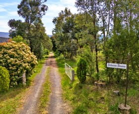 Rural / Farming commercial property for sale at 2781 Maroondah Highway Taggerty VIC 3714