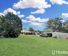 Rural / Farming commercial property for sale at 221 Copeton Dam Road Inverell NSW 2360