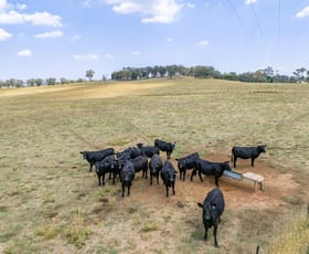 Rural / Farming commercial property for sale at 21 Meadows Lane Lyndhurst NSW 2797