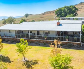 Rural / Farming commercial property for sale at 229 Sugarloaf Road Corryong VIC 3707