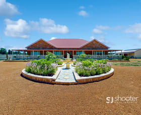 Rural / Farming commercial property sold at 34L Bunglegumbie Road Dubbo NSW 2830